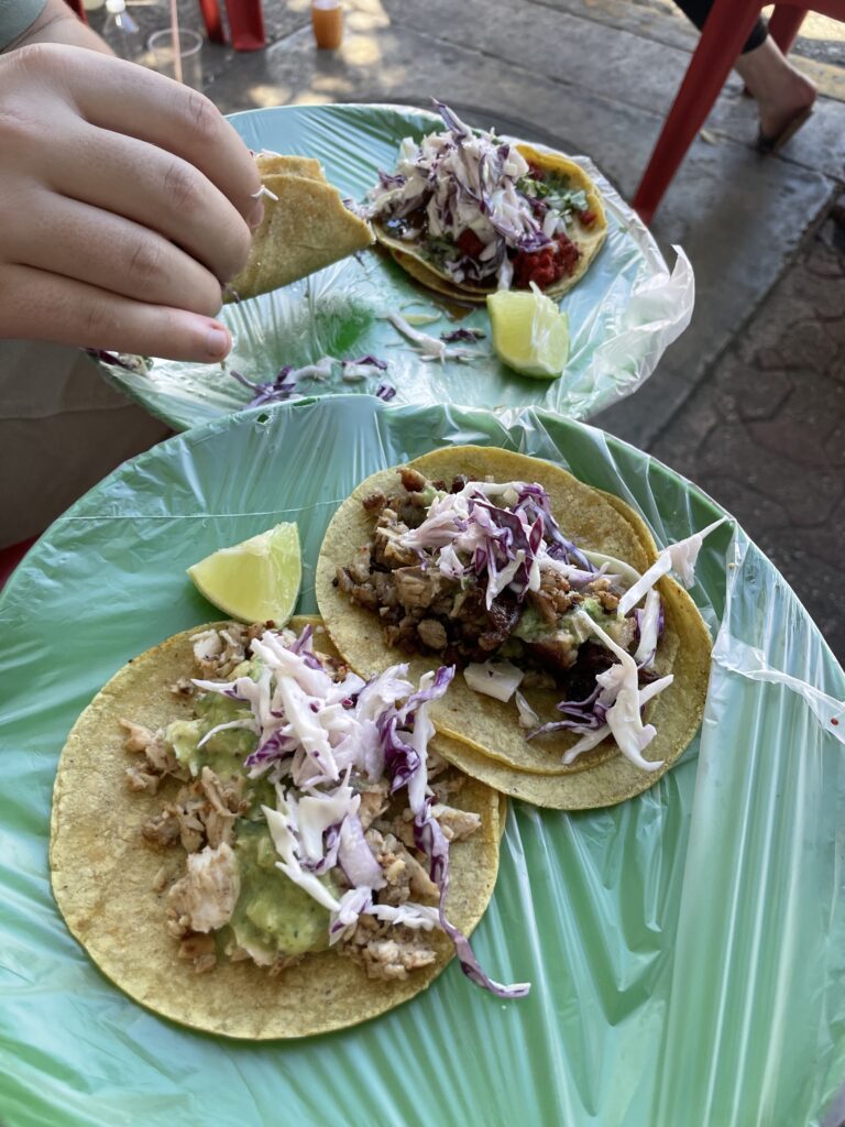 Playa del Carmen food tour: A perfect introduction to the Mexican cuisine